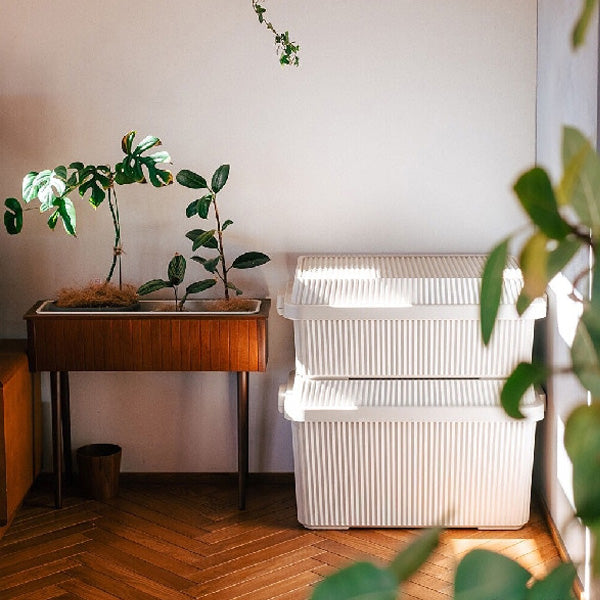 Za Huo Dian — your partner for a calm, organised home — Za Huo Dian Singapore