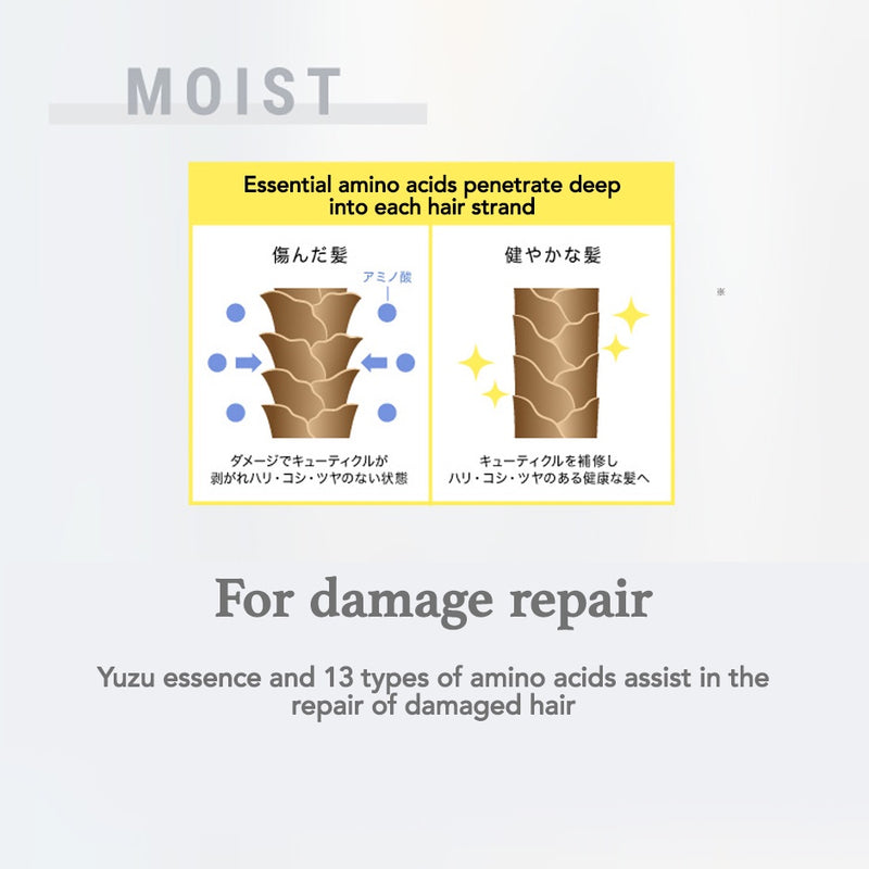 John's Blend Shampoo Conditioner Moist Type White Musk