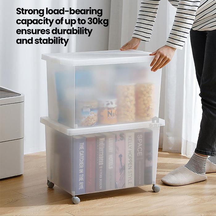 Shimoyama Matte Translucent Storage Box
