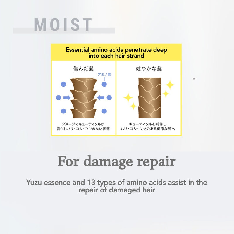 John's Blend Shampoo & Conditioner Trial Pack