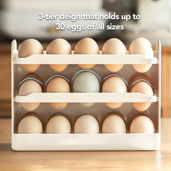 Refrigerator Door 30pc Egg Organiser